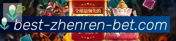 bbin真人官网发展历程