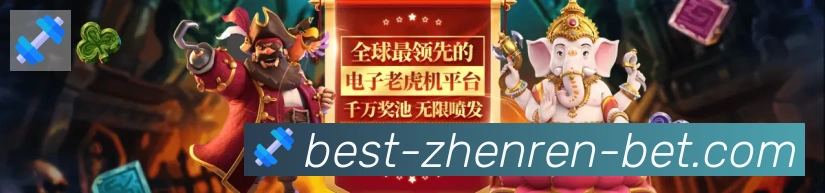 企业概况