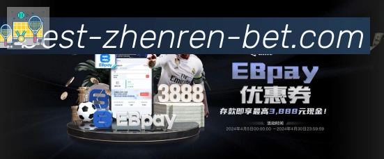 互动解说服务